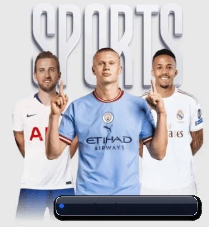 member-jnsports.com.cn的故事